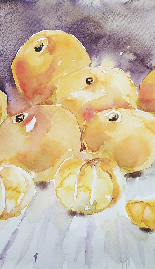 Tangerines watercolor by Tanya Amos