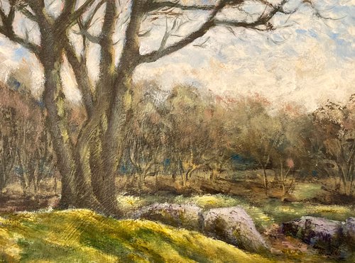 Woods on Dartmoor by David Mather