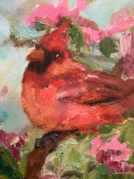 Cardinal