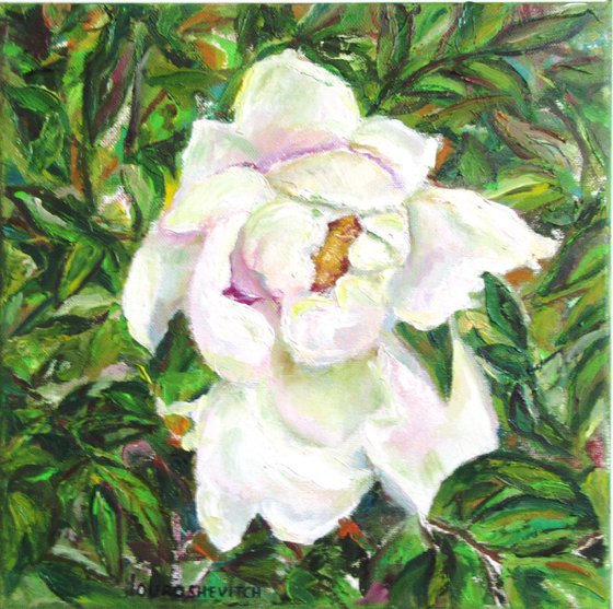 Original Oil Painting of a Tree Peony Romantic one of a kind Impressionistic Blooming flower perfect graduation mother easter gift white and green Small 12x12 in. (30x30 cm)