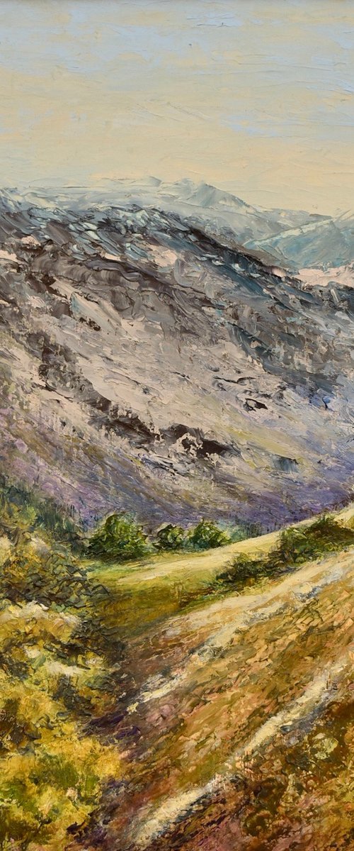 Berwyn Mountains by David Mather