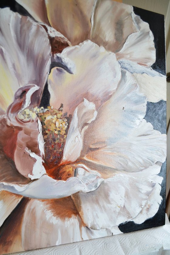 Peonies' Voice 2