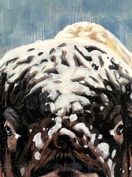 Spirit of the Snow Plains