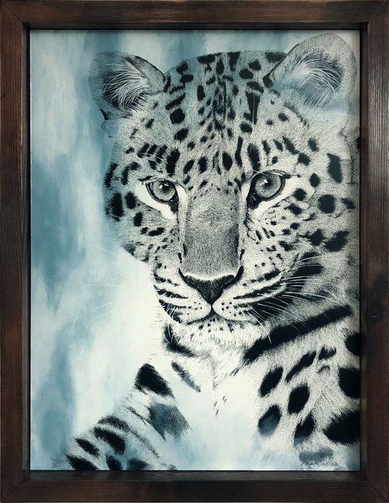 Dreamy Big Cats - Amur Leopard
