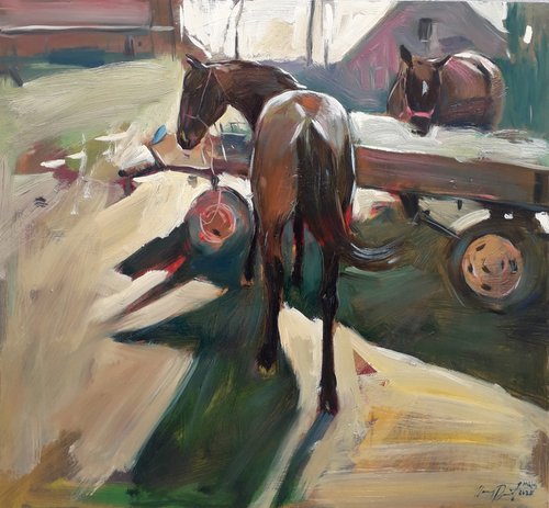 Grazing horses by Róbert Kormos