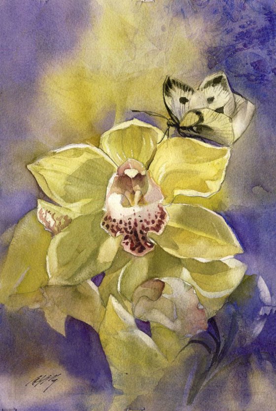 Cymbidium orchid with butterfly