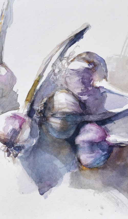 Garlic on table 2 by Goran Žigolić Watercolors