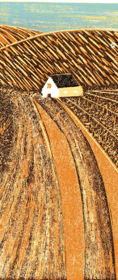 'Golden Fields' by Layla Khani (aka Laylart)