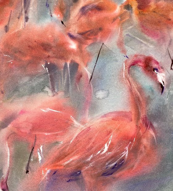 Flamingo Waltz