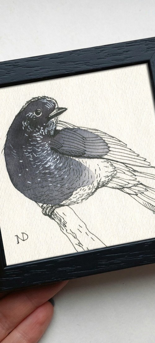 Blackbird by Nataly Derevyanko