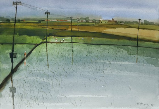 Paddy fields minimal composing