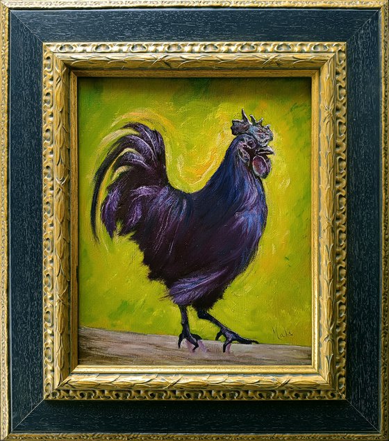 Black Cockerel