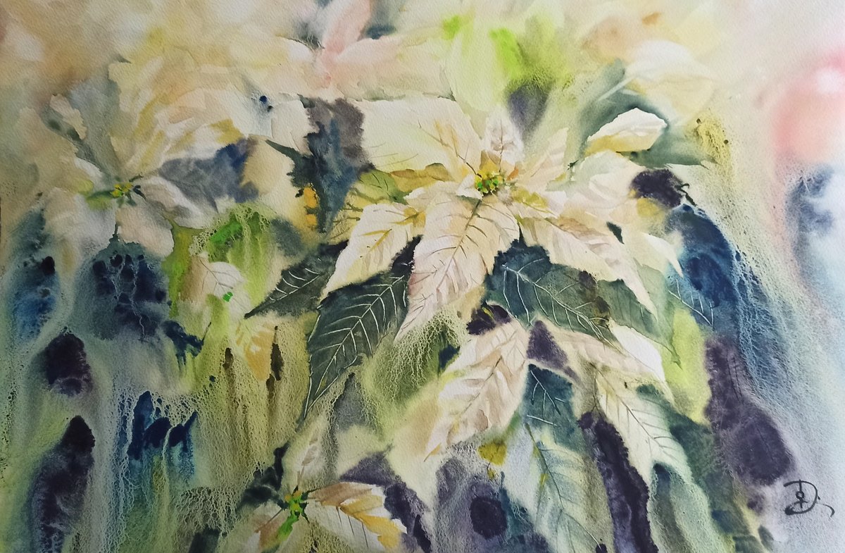 Impressionistic Botanical Watercolour By Olga Drozdova, 22 X 15", White Pointsettia, Original Artwork