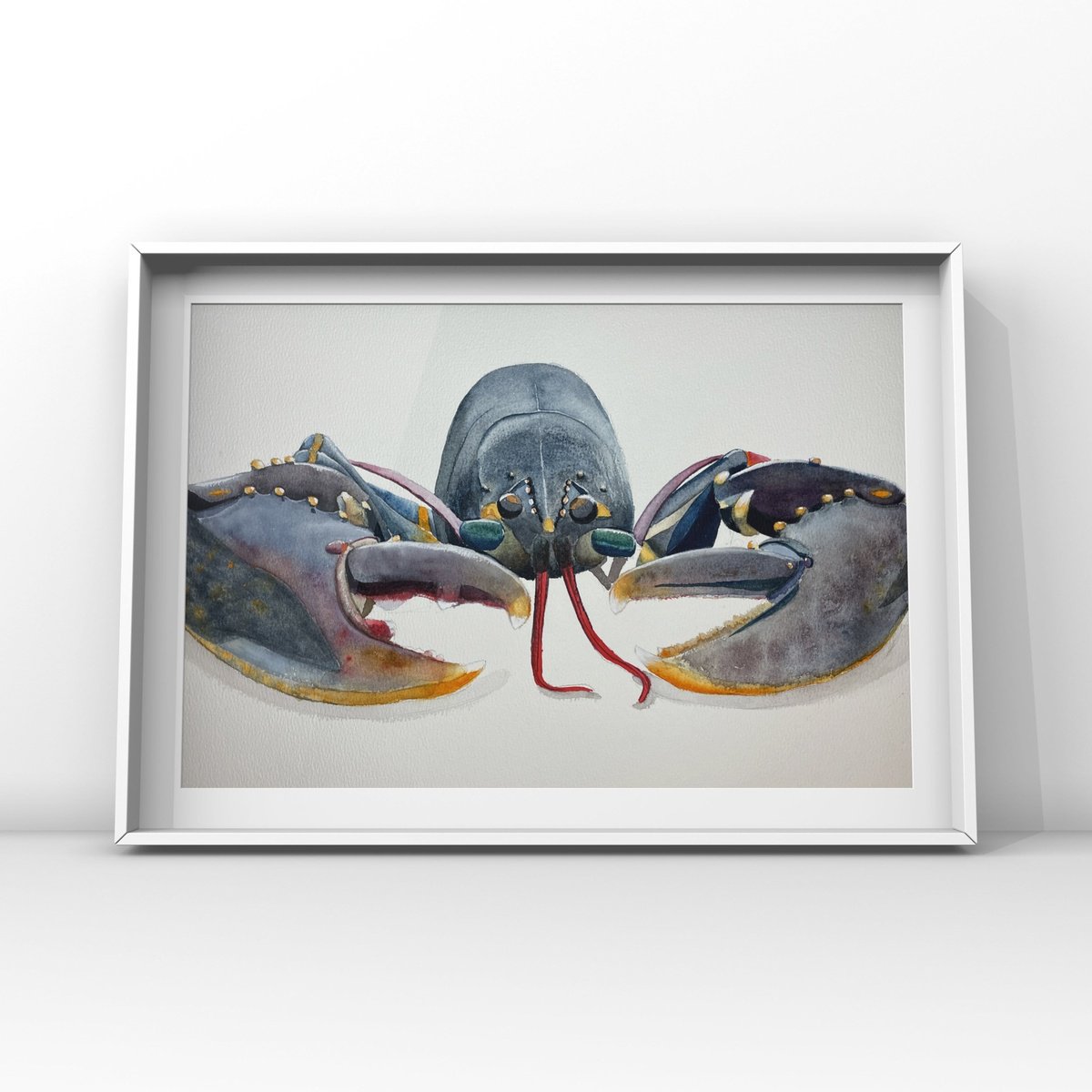 Grey Lobster by Lucia Kasardova