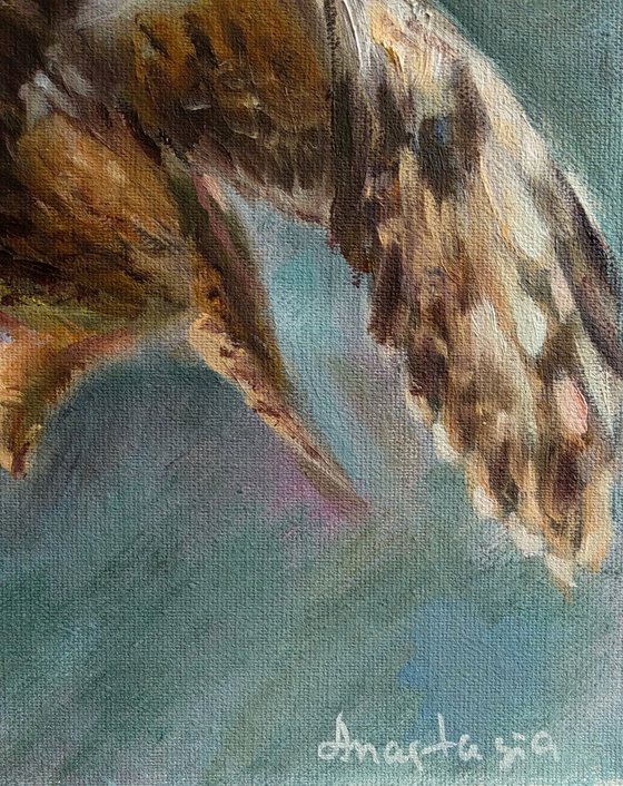 Flying Eagle Owl Birds Painting Wild Nature