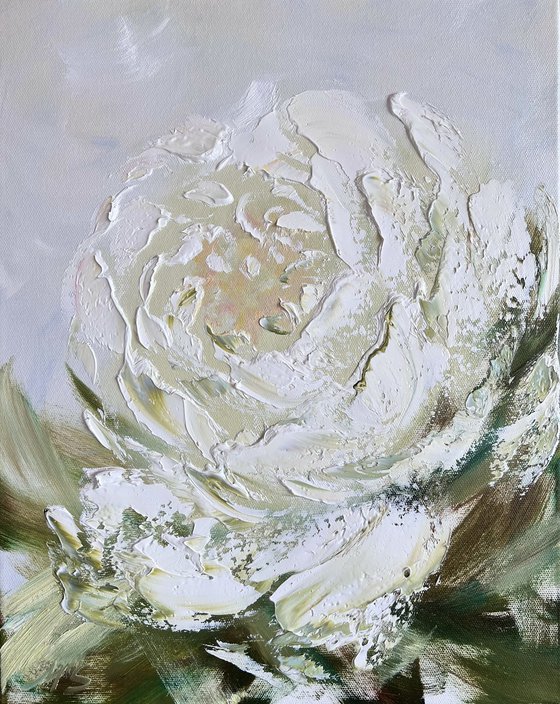 Amazing peony in a frame