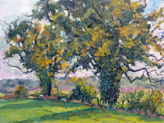 Autumn Oaks, Coxwold