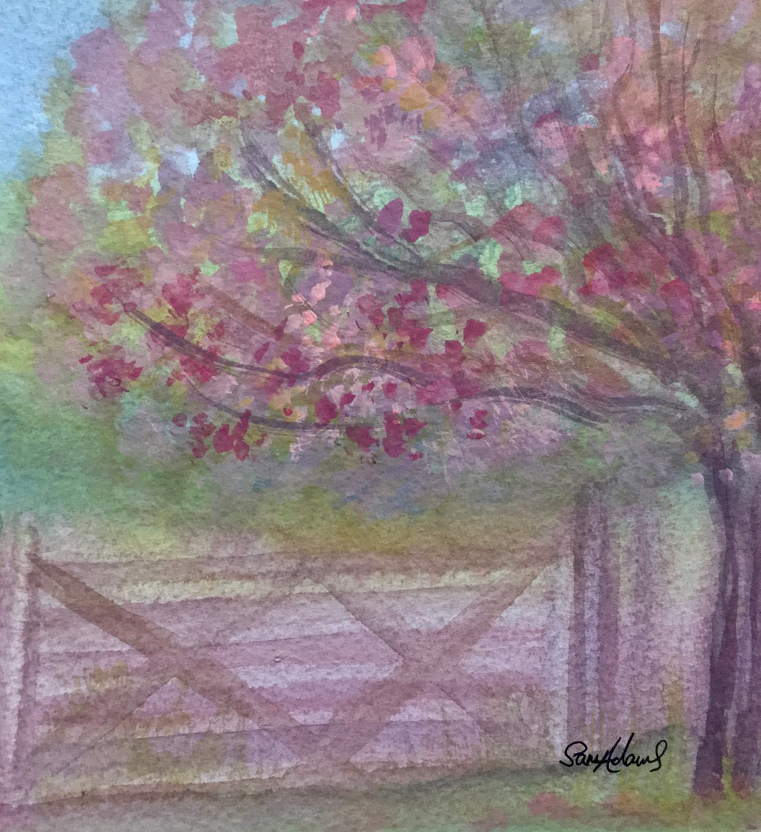 Cherry blossom by the gate by Samantha Adams professional watercolorist