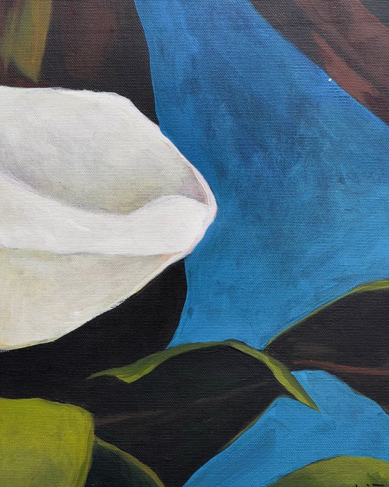 Magnolia 7