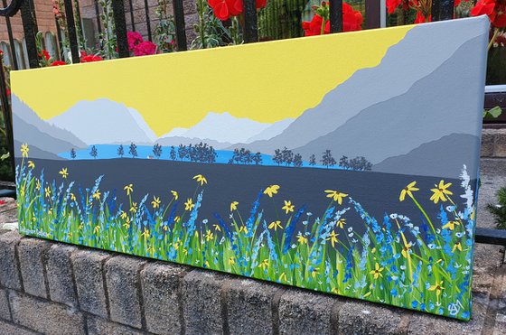 Buttermere Daisies, The Lake District