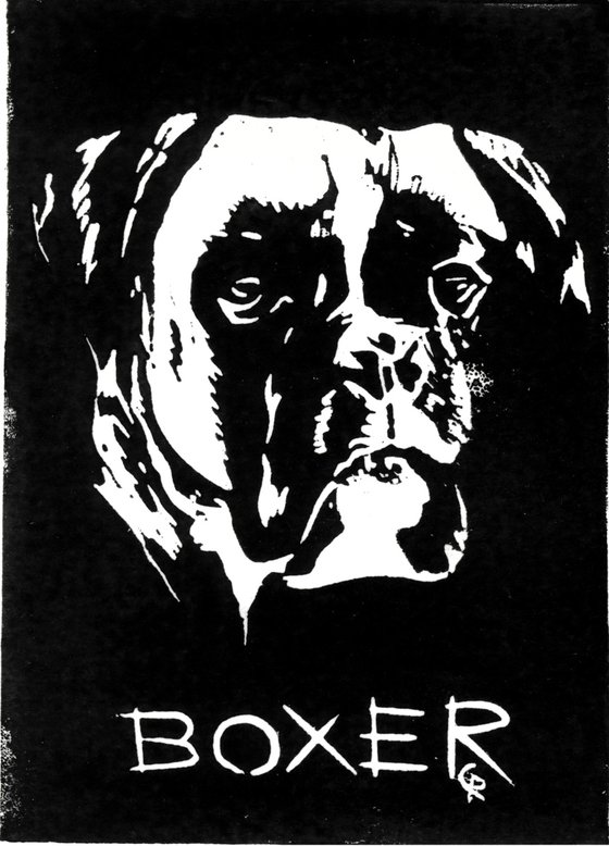 Dogs - Boxer