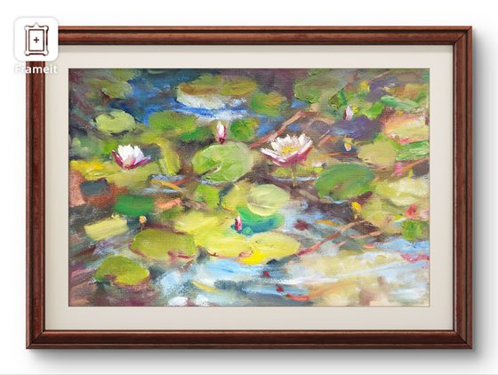 Water Lilies