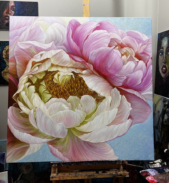 A pair of peonies in a delicate color