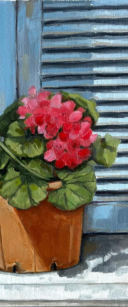Windowsill Geraniums oil Painting 28x22cm by Leysan Khasanova