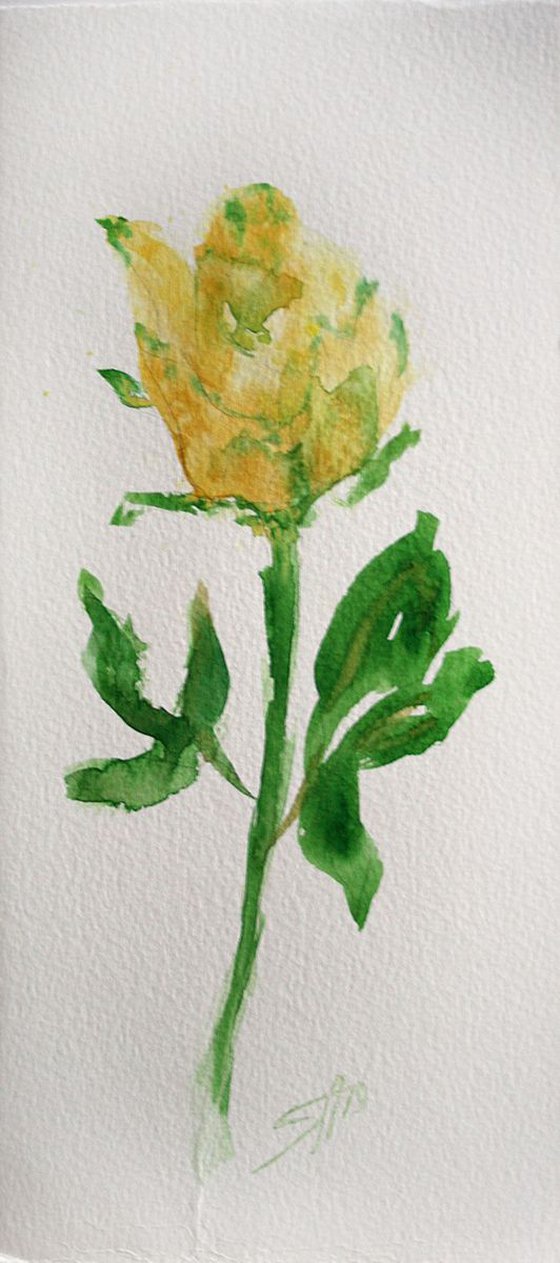 Rose 02  / Original Painting / emotion in the portrait of a flower / color harmony of watercolor / a gift for you