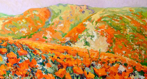 California Poppy In the Wild, Superbloom in the Mountains