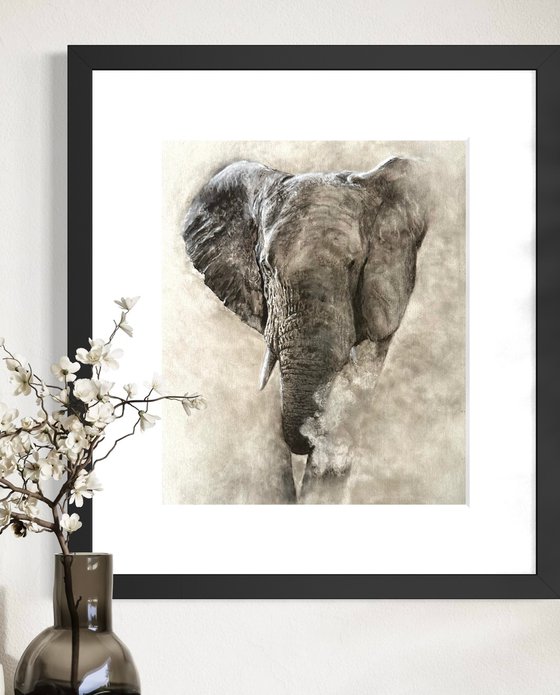 Dusty Elephant