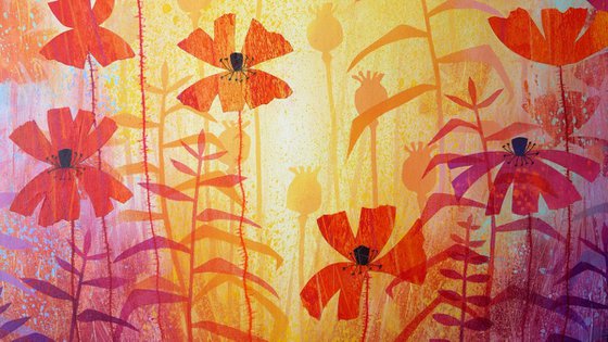 Poppies Bathed in Gold