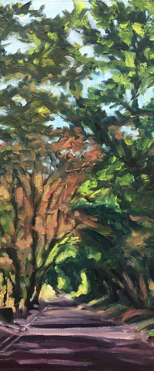 Driving Down Hendon Wood Lane (II) by Diana Sandetskaya