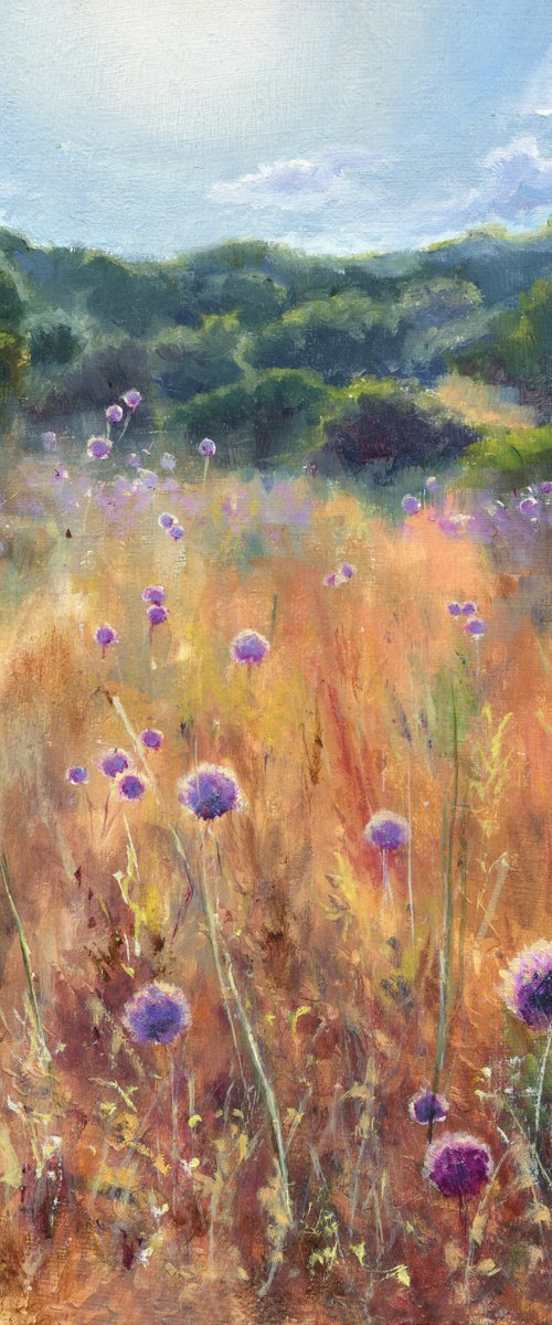 'May the sun never stop shining' by Lucia Verdejo