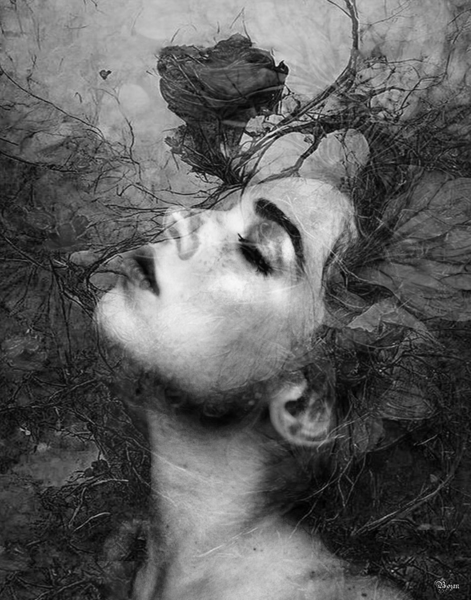 Illustrative Portrait Photograph By Bojan Jevtic, 34 X 43, You Feeling Me Like A Rose, Original Artwork