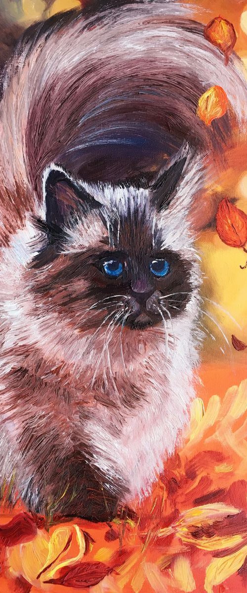 Autumn cat by Elena Sokolova