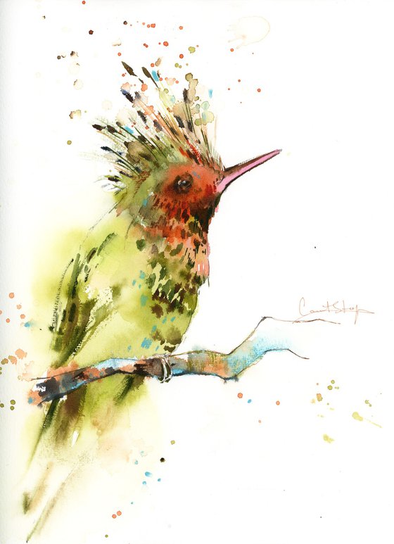 Hummingbird