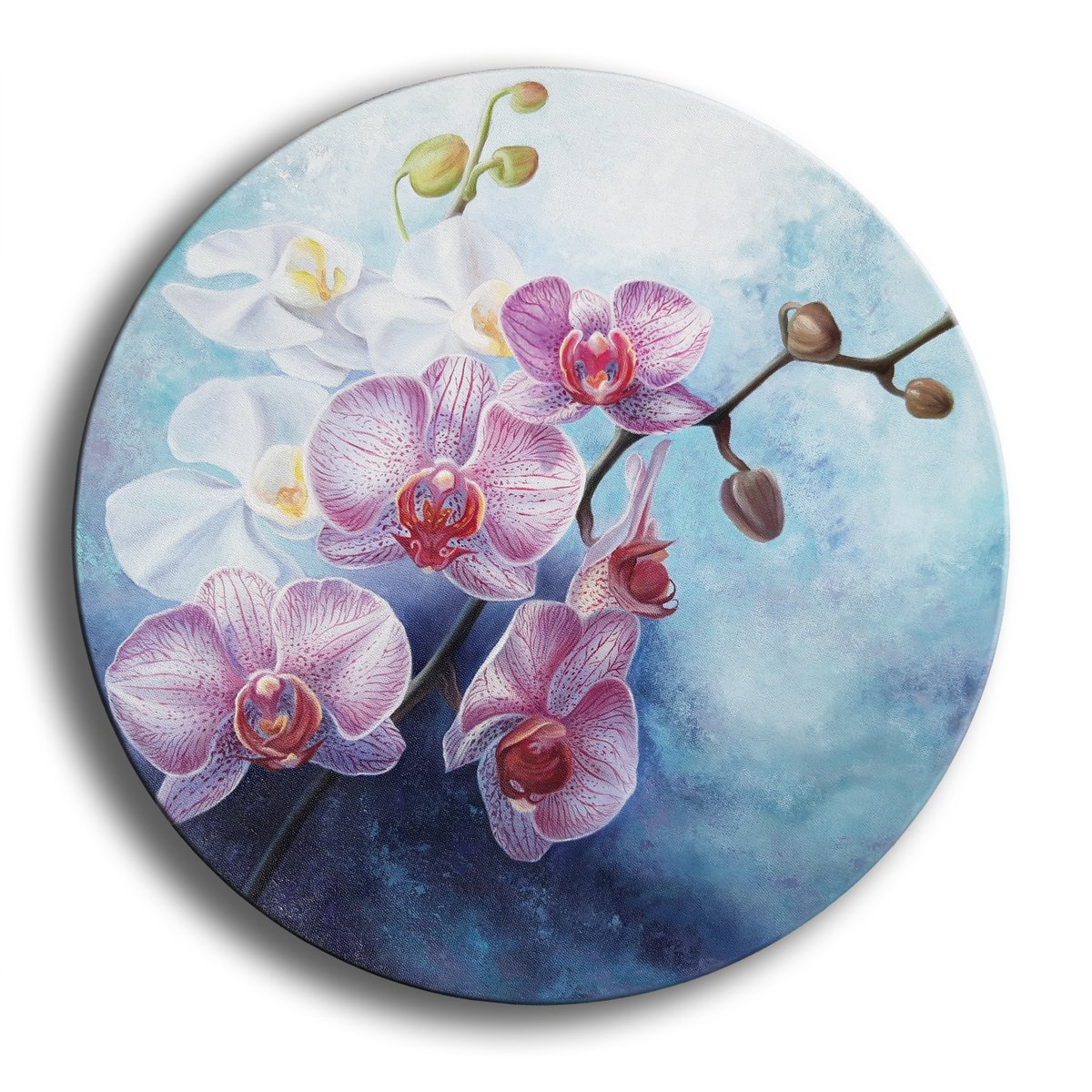 Orchid charm, circle canvas flowers painting, oil floral art by Anna Steshenko