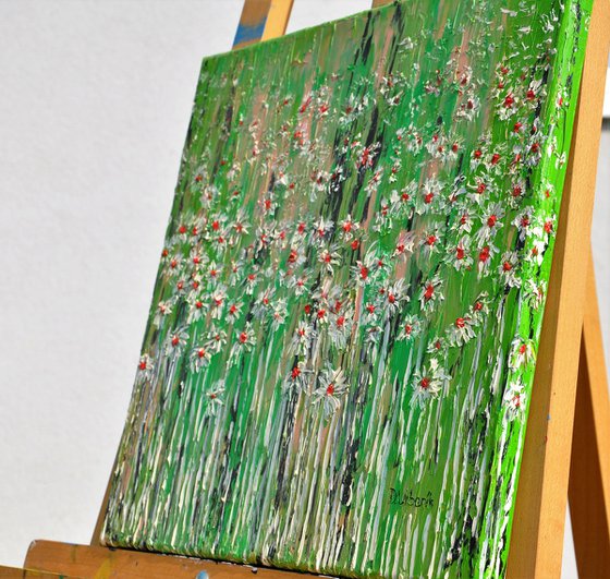 Daisies In The Grass