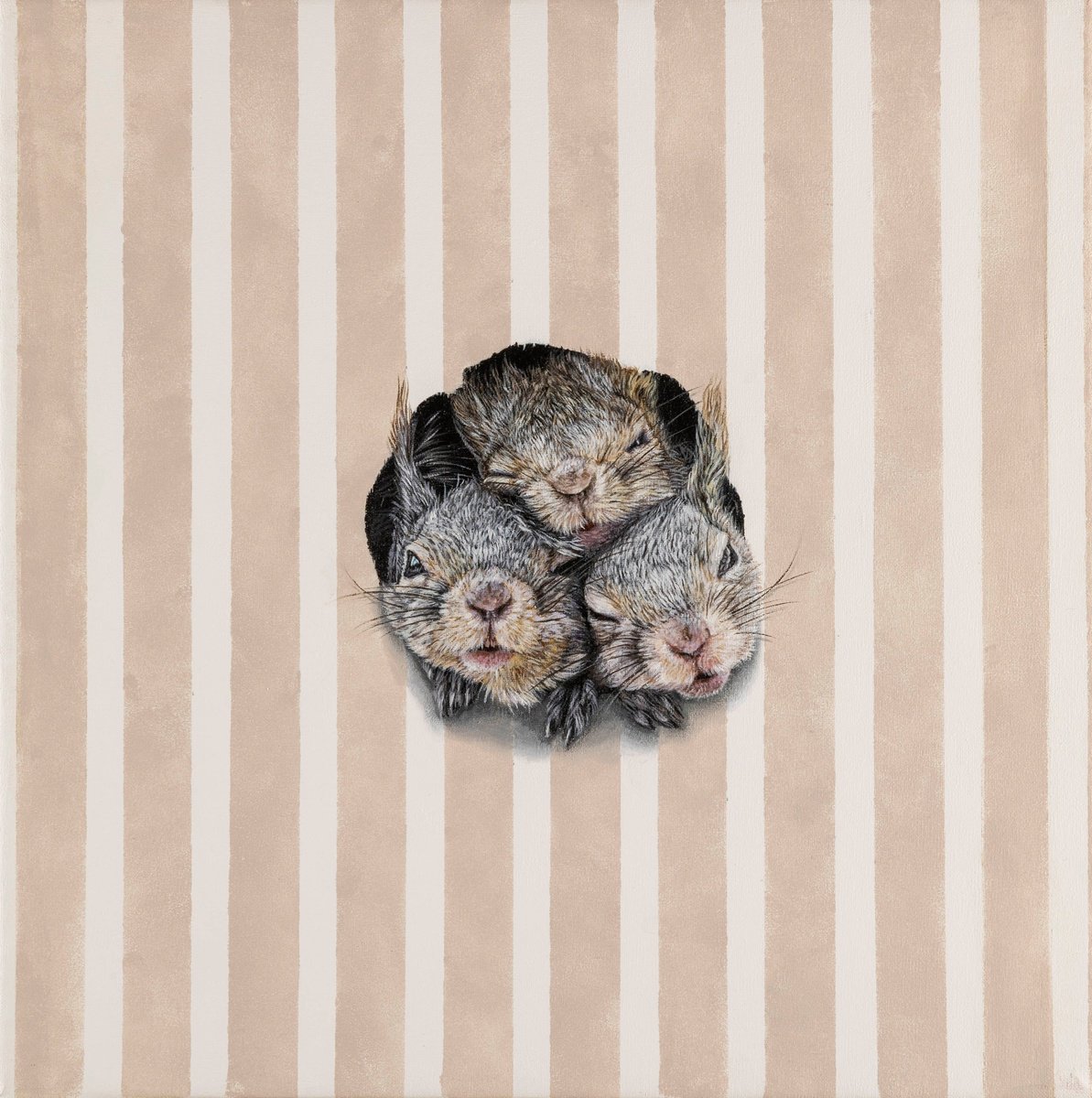Surprise By Claudia Daminato, 12 X 12, Artwork For Sale On Artfinder
