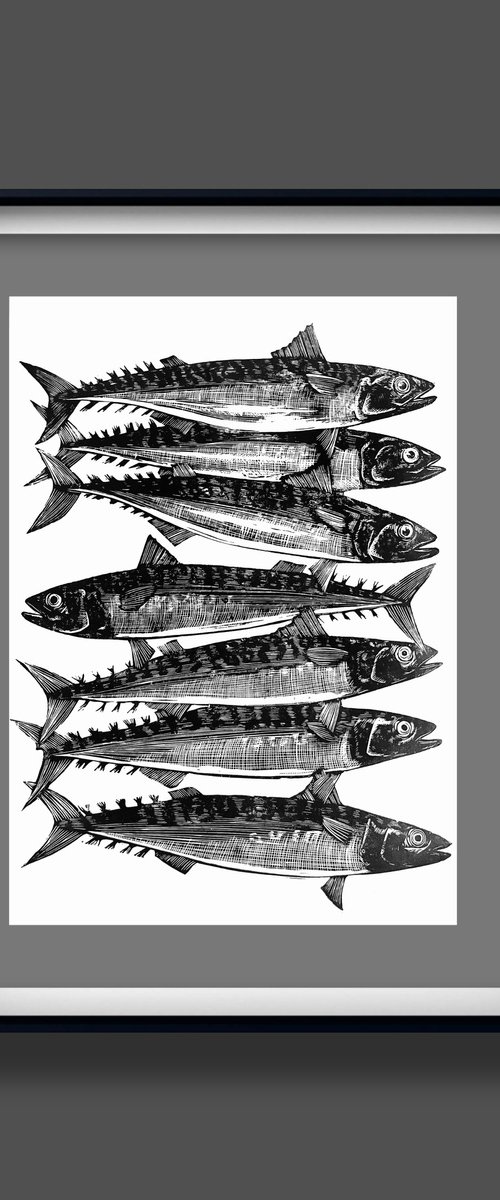 Holy Mackerel! by Amy Cundall