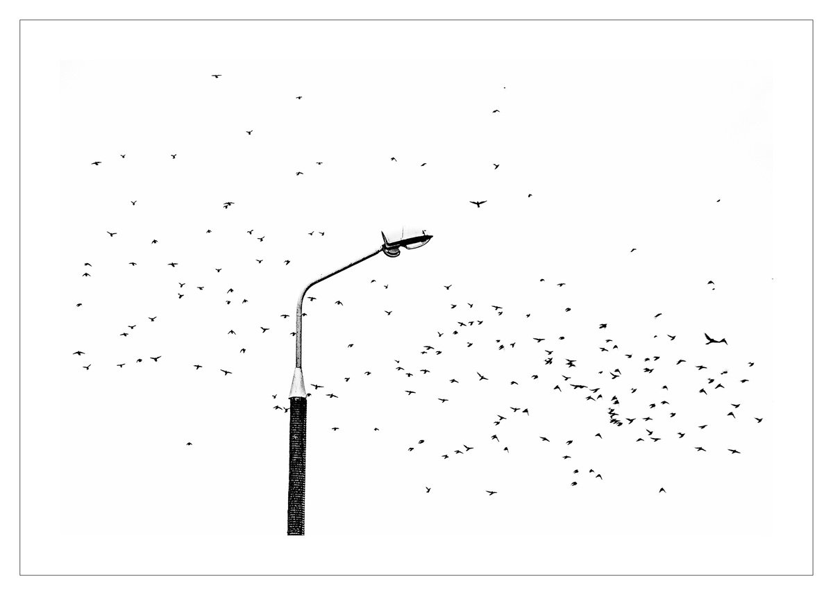 Expressive Cityscapes Photograph By Beata Podwysocka, 28 X 20, Lamp-Postscape 6, Original Artwork