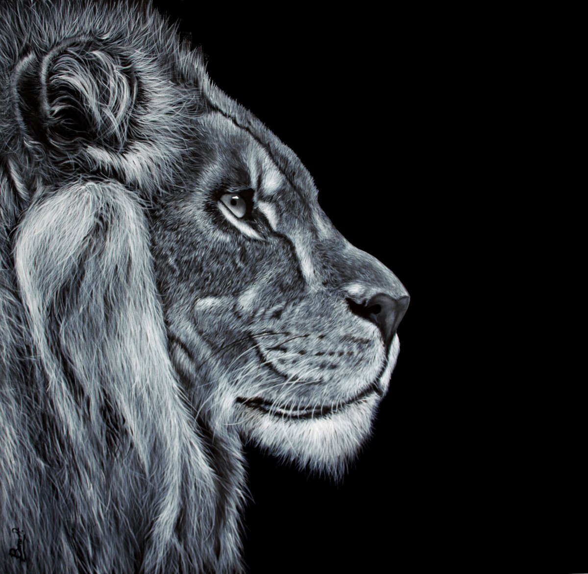 Lion (80x80 cm) by Burcu Akarcay