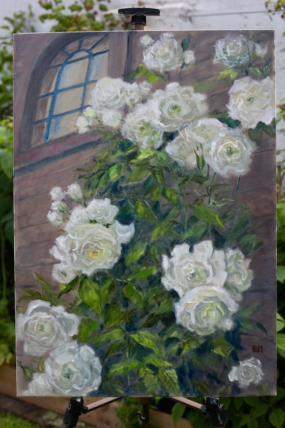 White Night Roses