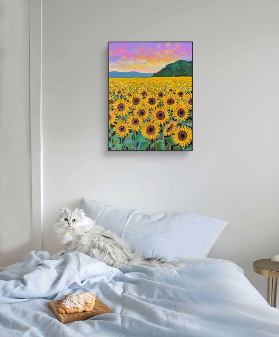 Sunflowers field at sunset