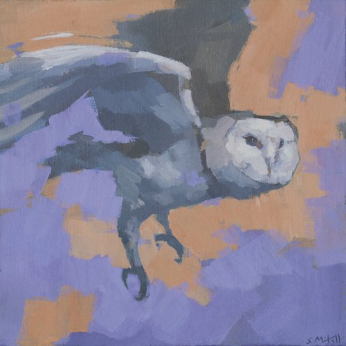 Barn Owl In Flight by Steve Mitchell