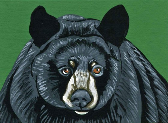 ACEO ATC Original Miniature Painting Black Bear Wildlife Art-Carla Smale