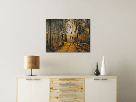 Sunlit Forest Serenity