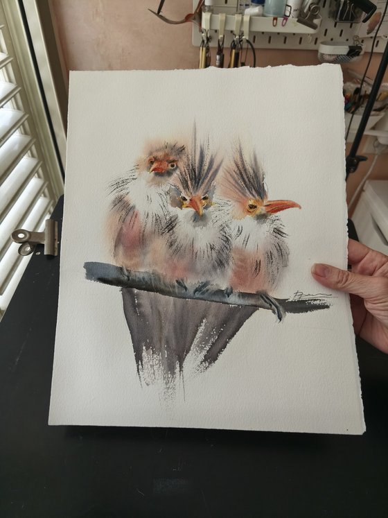Trio Of Crested Birds - Diptych