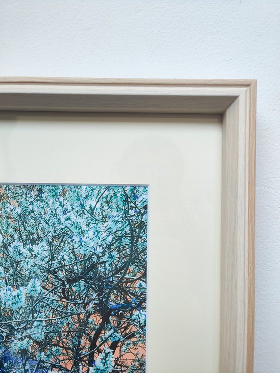 (FRAMED) Nature and Seasons